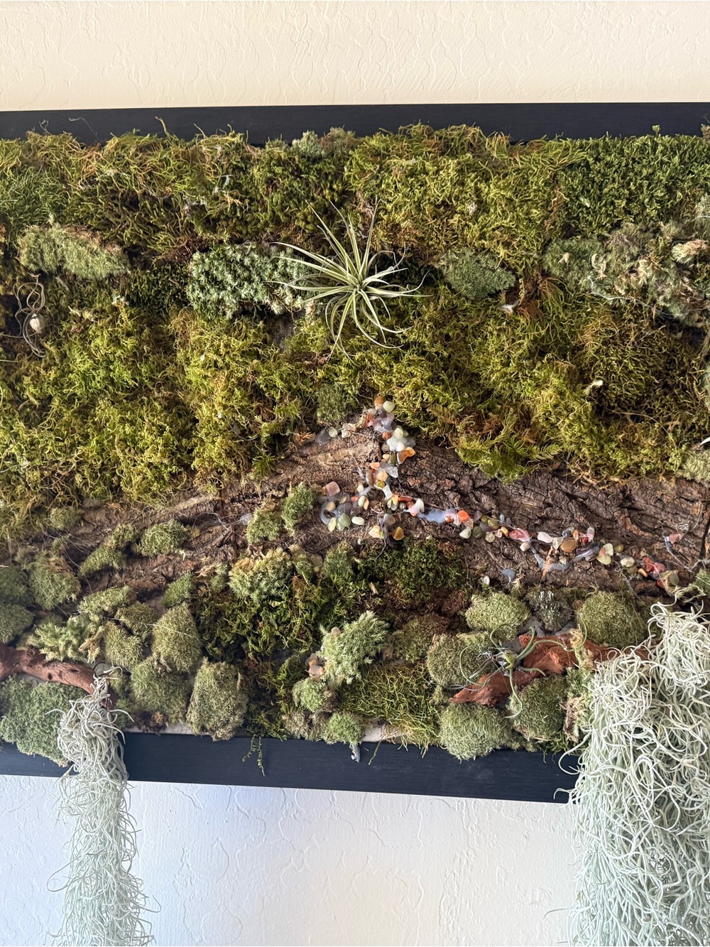 Source Unknown Moss and Air Plant Wall Panel in Green and Brown
